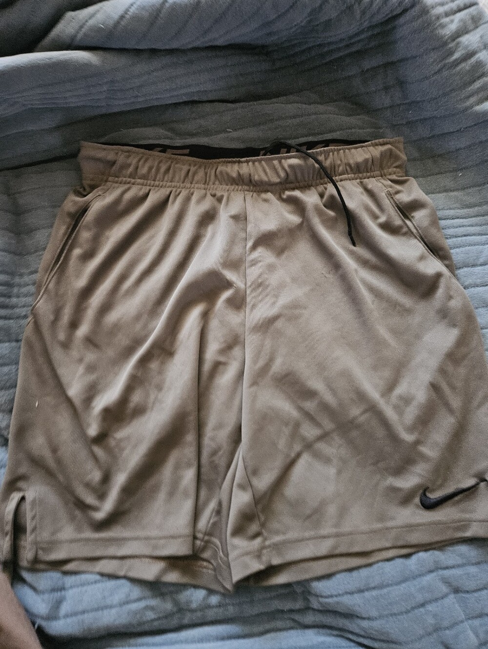 Nike Men's Dri Fit Shorts
